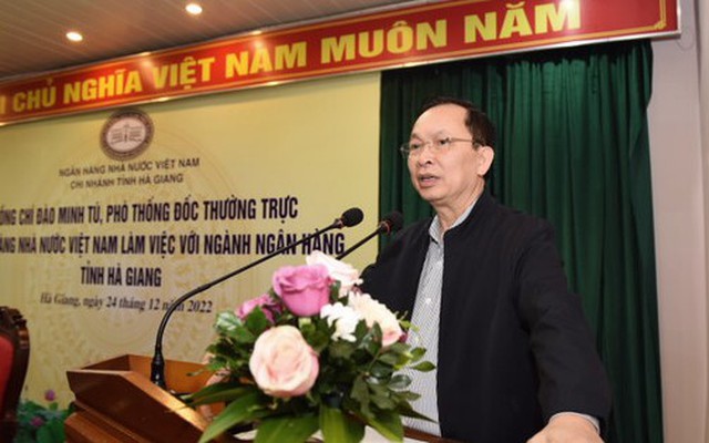 Phó Thống đốc Đào Minh Tú phát biểu chỉ đạo tại buổi làm việc