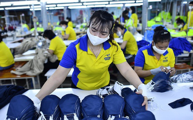 Chỉ 11,67% lao động Việt Nam có trình độ chuyên môn cao