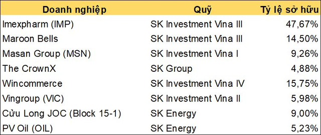 Báo Hàn: SK Group có thể thoái một số khoản đầu tư lớn trong danh mục tỷ đô tại Việt Nam, Malaysia - Ảnh 1.