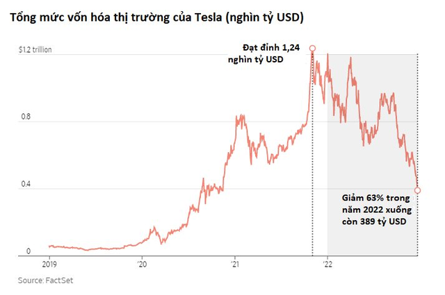 Tesla thấm đòn khi nhu cầu xe điện Mỹ suy giảm, bị thổi phồng nhờ những lời hứa của Elon Musk - Ảnh 1.
