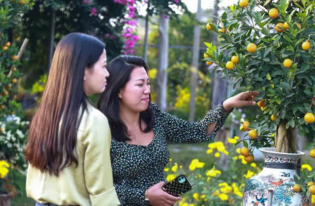 Kumquat trees cost tens of millions of dollars sold out in Hanoi before the Lunar New Year - Photo 2.