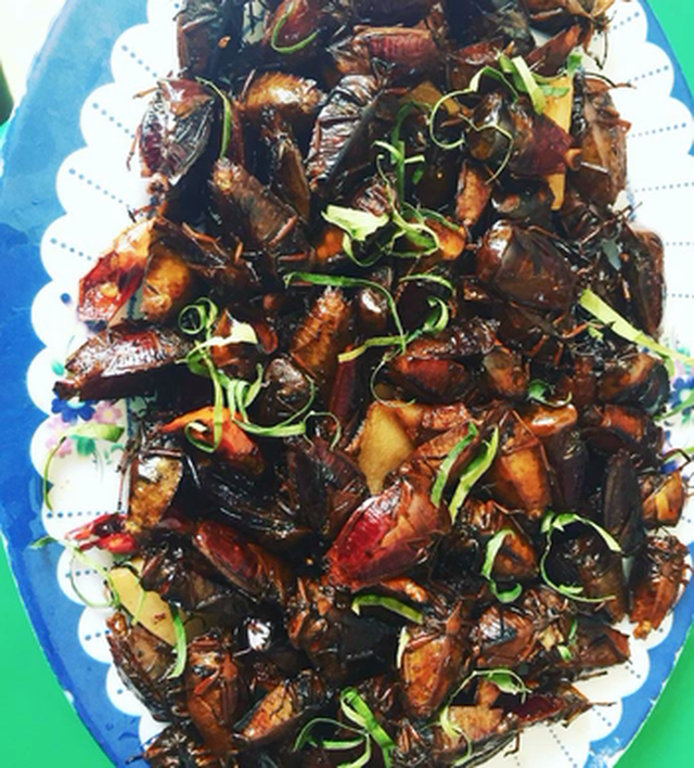Những loài vật trông kinh dị nhưng lại là tinh tuý ẩm thực ở Việt Nam, quê hương HHen Niê cũng có 1 món - Ảnh 10.
