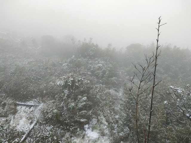 Tuyết đã phủ trắng đỉnh Fansipan, dân tình rần rần: Lên Sa Pa nhanh còn kịp - Ảnh 6.