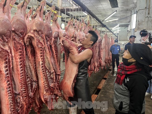 Trái cây Trung Quốc ‘đội lốt’ Thái Lan tràn ngập chợ TPHCM - Ảnh 6.