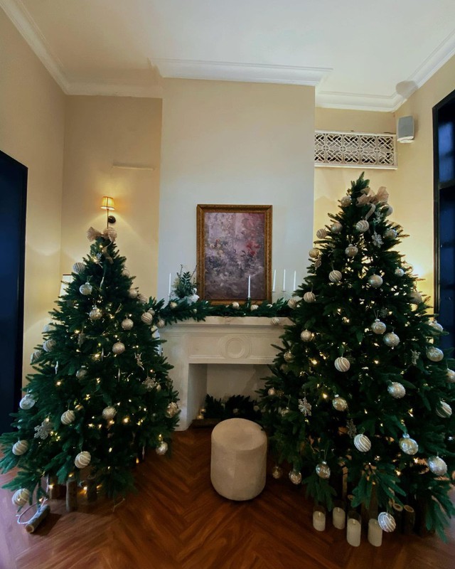 Responding to the early Christmas atmosphere at cafes located in European-style villas - Photo 5.