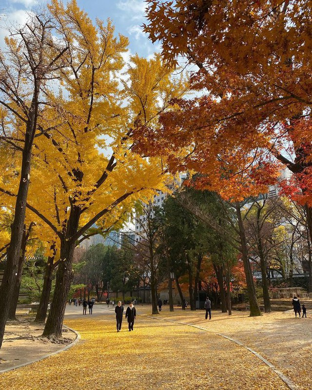  6 địa điểm tận hưởng mùa thu, ngắm lá vàng rơi lãng mạn ở Hàn Quốc - Ảnh 18.
