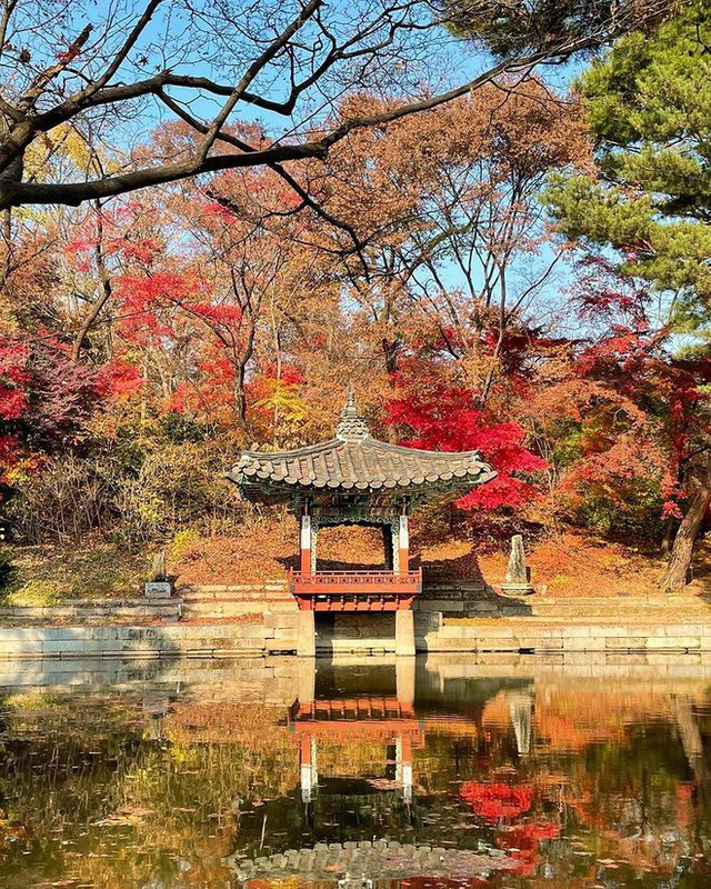  6 địa điểm tận hưởng mùa thu, ngắm lá vàng rơi lãng mạn ở Hàn Quốc - Ảnh 8.