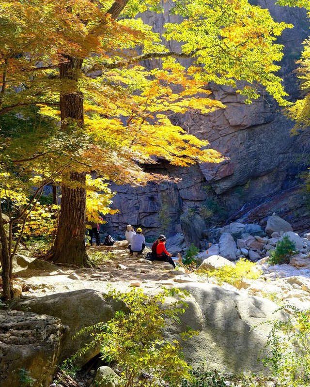  6 địa điểm tận hưởng mùa thu, ngắm lá vàng rơi lãng mạn ở Hàn Quốc - Ảnh 7.
