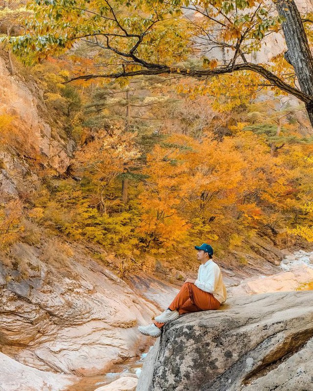  6 địa điểm tận hưởng mùa thu, ngắm lá vàng rơi lãng mạn ở Hàn Quốc - Ảnh 6.