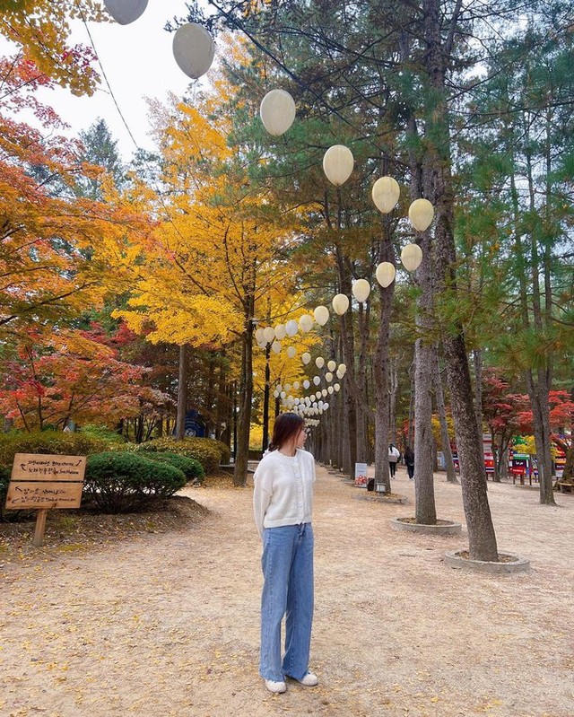  6 địa điểm tận hưởng mùa thu, ngắm lá vàng rơi lãng mạn ở Hàn Quốc - Ảnh 2.