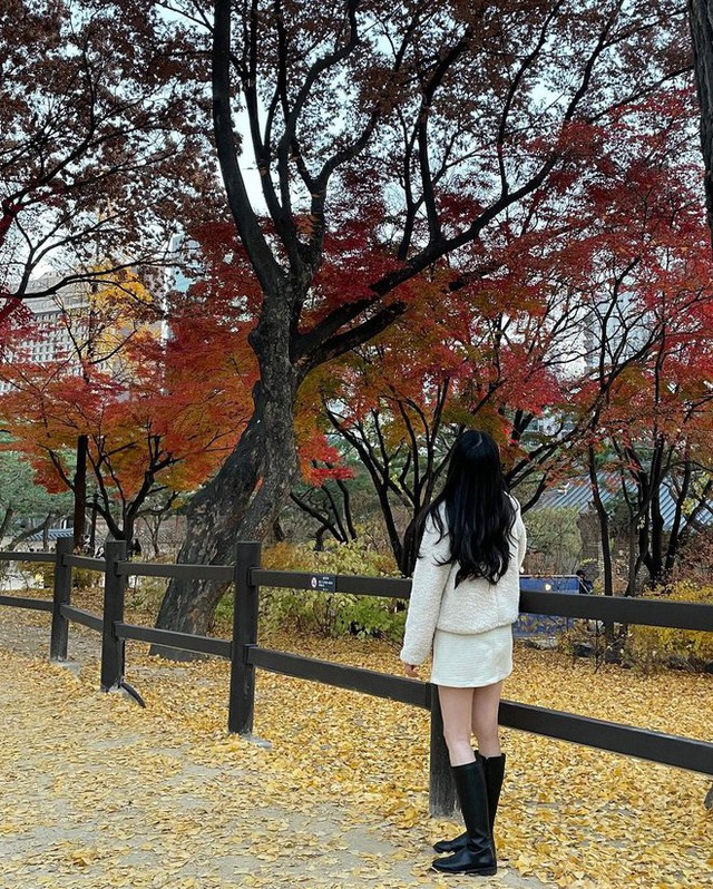  6 địa điểm tận hưởng mùa thu, ngắm lá vàng rơi lãng mạn ở Hàn Quốc - Ảnh 17.