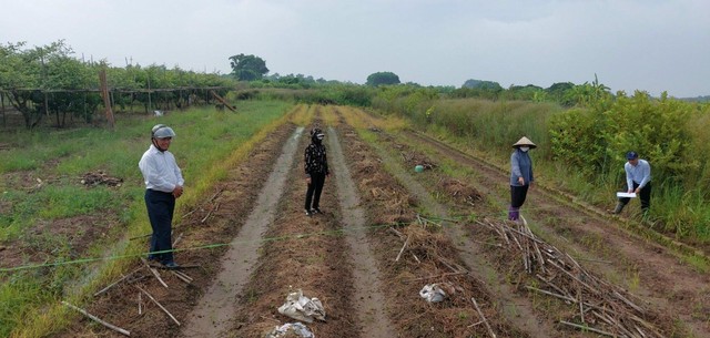 Vành đai 4 – Vùng Thủ đô: Trên dưới đồng lòng, trao chìa khóa, gửi niềm tin - Ảnh 4.