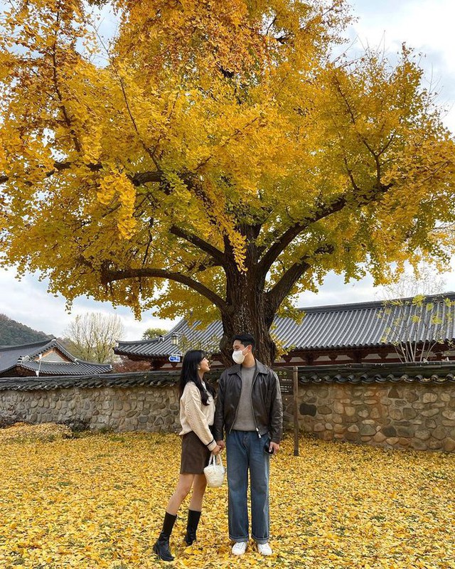  6 địa điểm tận hưởng mùa thu, ngắm lá vàng rơi lãng mạn ở Hàn Quốc - Ảnh 12.