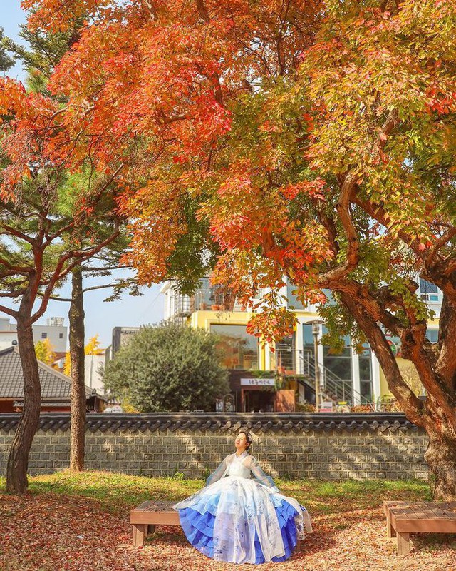  6 địa điểm tận hưởng mùa thu, ngắm lá vàng rơi lãng mạn ở Hàn Quốc - Ảnh 11.