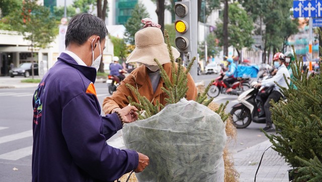 TP.HCM: Người dân chi tiền triệu mua thông tươi chơi Giáng sinh - Ảnh 12.