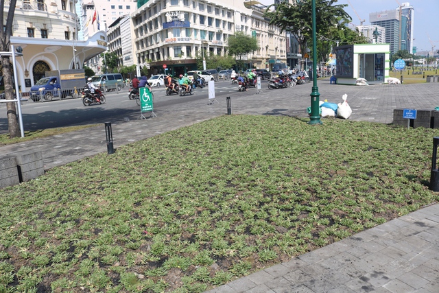 Thông tin mới vụ thảm cỏ tại công viên Bến Bạch Đằng bị hư hại nặng sau lễ hội ẩm thực - Ảnh 6.