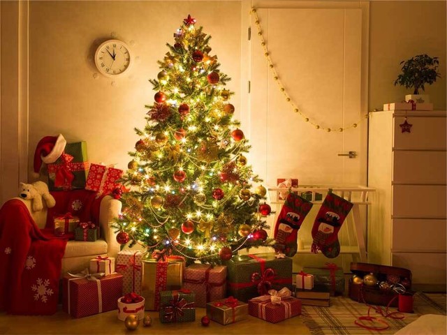 Cách chọn cây thông Noel giá rẻ nhưng vẫn tạo được hiệu ứng tối đa cho căn nhà, lại phù hợp với túi tiền - Ảnh 6.