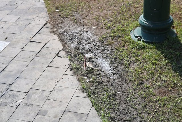 Thông tin mới vụ thảm cỏ tại công viên Bến Bạch Đằng bị hư hại nặng sau lễ hội ẩm thực - Ảnh 5.