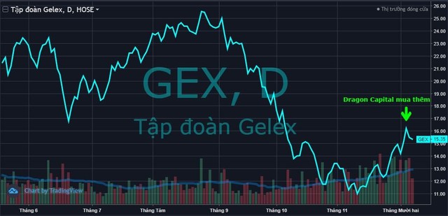 Dragon Capital mua vào hàng triệu cổ phiếu STB và GEX ở đỉnh sóng hồi - Ảnh 2.