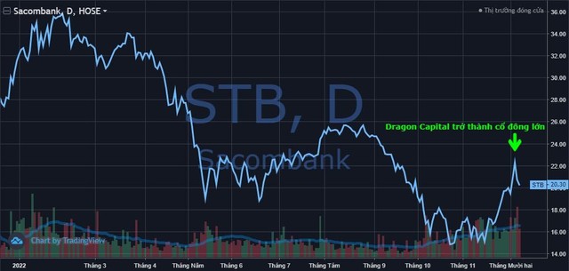 Dragon Capital mua vào hàng triệu cổ phiếu STB và GEX ở đỉnh sóng hồi - Ảnh 1.