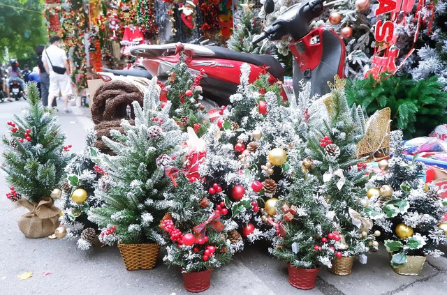 Hà Nội: Thị trường cây thông Noel nhộn nhịp, mức giá từ 10 - 20 triệu hút khách mua - Ảnh 6.