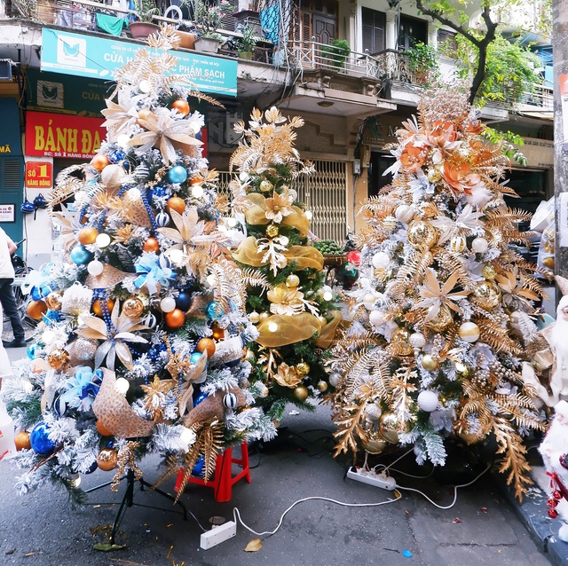 Hà Nội: Thị trường cây thông Noel nhộn nhịp, mức giá từ 10 - 20 triệu hút khách mua - Ảnh 2.