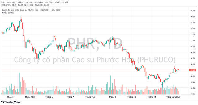 Một doanh nghiệp Bất động sản KCN sắp chi hơn 500 tỷ đồng trả cổ tức 2022 - Ảnh 1.