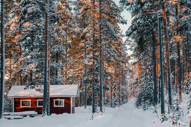 Cận cảnh ngôi làng ông già Noel đẹp như cổ tích, tuyết trắng rơi 6 tháng ở Hà Lan - Ảnh 4.