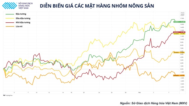 Báo cáo cung – cầu không đạt kỳ vọng, thị trường nông sản đang dần chuyển mối quan tâm sang mùa vụ tại Mỹ - Ảnh 1.