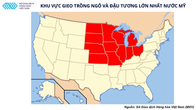 Báo cáo cung – cầu không đạt kỳ vọng, thị trường nông sản đang dần chuyển mối quan tâm sang mùa vụ tại Mỹ - Ảnh 3.