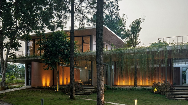 Căn nhà hơn 5.000 m2 giữa rừng thông cho gia đình 3 thế hệ: Khoét mái, nhấc bổng trần để đưa mảng xanh vào không gian sống - Ảnh 1.