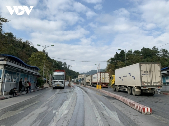 Lạng Sơn dừng tiếp nhận phương tiện chở hàng hoa quả tươi lên cửa khẩu từ ngày 16/2 - Ảnh 1.