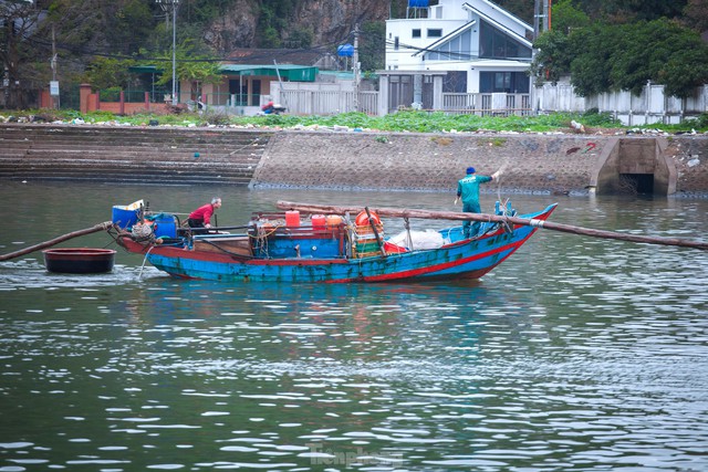 Ngư dân Nghệ An đón lộc biển trong chuyến ra khơi đầu năm - Ảnh 2.