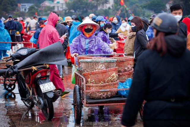 Ngư dân Nghệ An đón lộc biển trong chuyến ra khơi đầu năm - Ảnh 10.