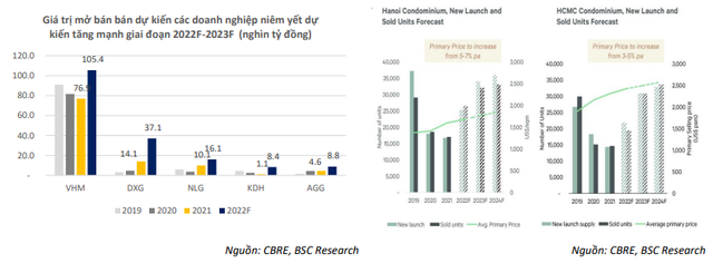 Cơn sóng sàng lọc tự nhiên đầu năm 2022 là cơ hội để tích lũy 3 cổ phiếu BĐS tốt giá rẻ, được hưởng lời từ sốt đất - Ảnh 2.