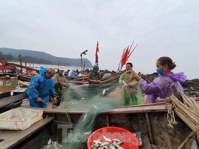 Ngư dân hối hả gỡ tấm lưới nặng trĩu cá, bỏ túi tiền triệu mỗi ngày - Ảnh 2.