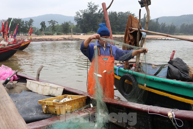 Ngư dân hối hả gỡ tấm lưới nặng trĩu cá, bỏ túi tiền triệu mỗi ngày - Ảnh 6.