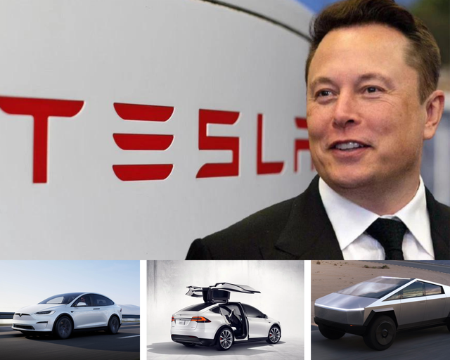 Sự giống nhau thú vị khi làm ô tô của 2 tỷ phú Elon Musk và Phạm Nhật Vượng - Ảnh 1.