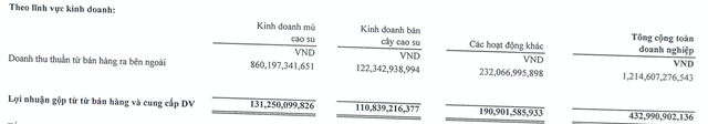 Cao su Đồng Phú (DPR) báo lãi sau thuế cả năm đạt 491 tỷ đồng, tăng 132% so với cùng kỳ - Ảnh 2.