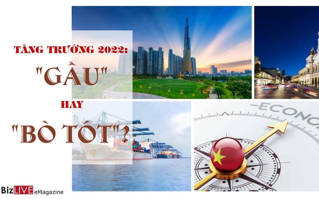 Tăng trưởng 2022: "Gấu" hay "Bò tót"