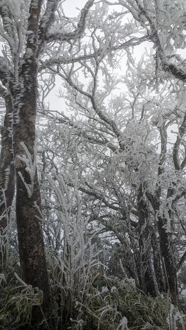  Clip băng tuyết phủ kín như thuỷ tinh trên đỉnh Mẫu Sơn, dân tình đã rục rịch lên đồ đi săn tuyết - Ảnh 5.
