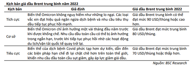 Hàng loạt thông tin tích cực cho nhóm cổ phiếu dầu khí trong năm 2022, BSC gọi tên 5 mã tiềm năng được hưởng lợi lớn - Ảnh 1.