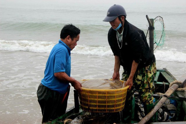 Ngư dân Hà Tĩnh được lộc trời ngày rét tê tái - Ảnh 3.