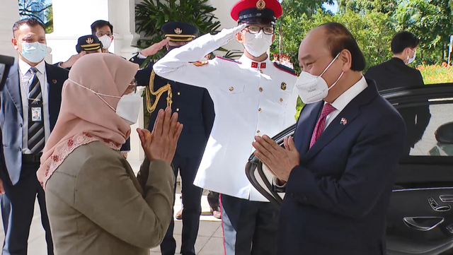 Tổng thống Singapore chủ trì lễ đón trọng thể Chủ tịch nước Nguyễn Xuân Phúc - Ảnh 7.