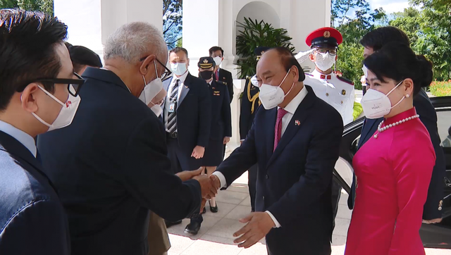 Tổng thống Singapore chủ trì lễ đón trọng thể Chủ tịch nước Nguyễn Xuân Phúc - Ảnh 8.