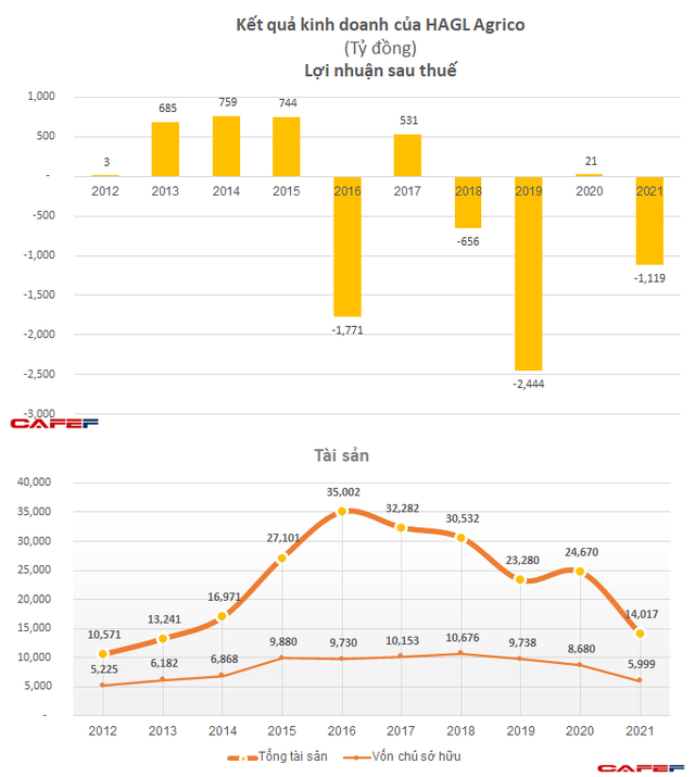 HAGL Agrico lần thứ 3 lỗ nghìn tỷ trong 6 năm, dự kiến 2022 hạch toán lỗ 2.400 tỷ đồng chi phí chuyển đổi vườn cây - Ảnh 3.