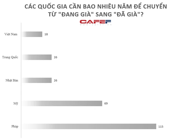 Dự báo 16,4 triệu người Việt Nam sẽ không có lương hưu vào năm 2030: Khuyến nghị thiết lập khoản hưu trí lấy từ nguồn thuế - Ảnh 1.