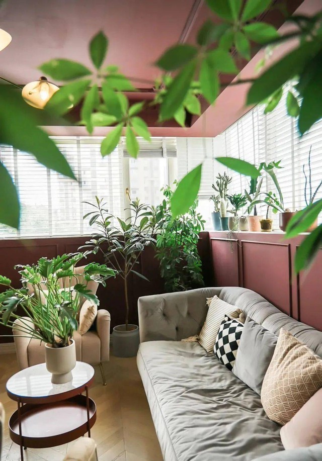 Thích mê không gian sống xanh của cô nàng độc thân cùng 2 “boss” mèo trong ngôi nhà có hơn 100 loại cây - Ảnh 19.