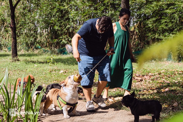 Cặp chồng Tây vợ Việt đón Tết bên đàn con chó mèo khuyết tật ở Sài Gòn: Chúng mình sẽ đến các trạm cứu hộ, tự tay lắp ráp và tặng xe lăn cho các bé! - Ảnh 13.