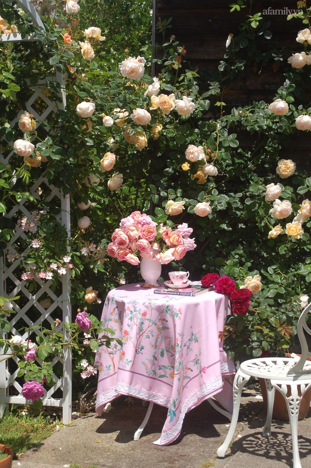 Mùng 4 Tết cùng ngắm khu vườn hoa hồng đẹp ngất ngây như tiên cảnh của mẹ Việt ở Úc - Ảnh 27.